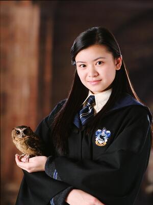 Hogwarts House Quiz Portal: Reveal Your Inner Wizard Today!